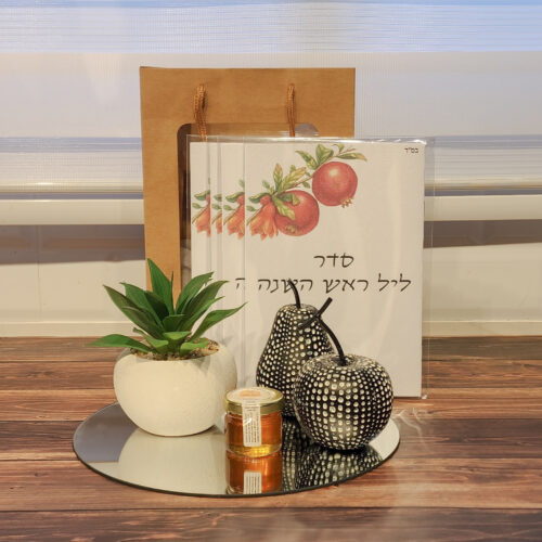 עציץ סוקולנט בגווני בטון - גוונים לבחירה